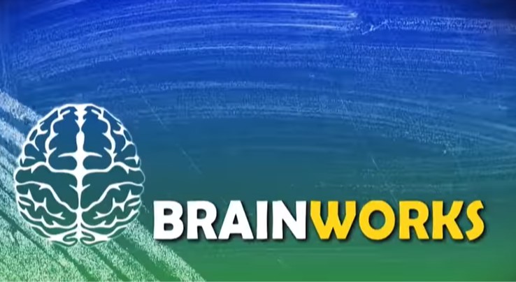 'Brainworks' text with white brain on chalkboard