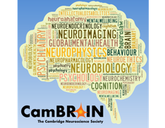 CamBRAIN - The Cambridge Neuroscience Society