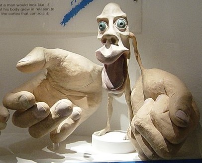 Model of a man with very large hands and lips, small legs
