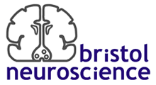 Bristol Neuroscience logo