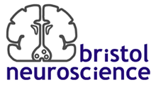 bristol neuroscience