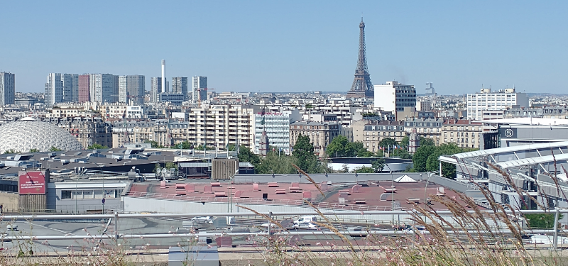 Rooftop view of paris