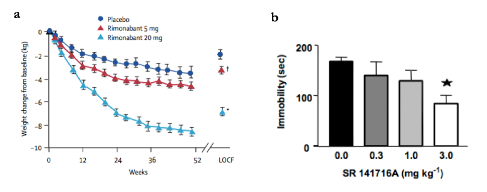 Figure 1: Rimonabant increases weight loss in obese patients and decreases immobility time in the forced swim test