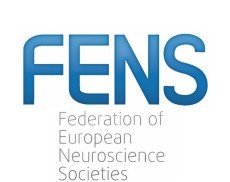 FENS