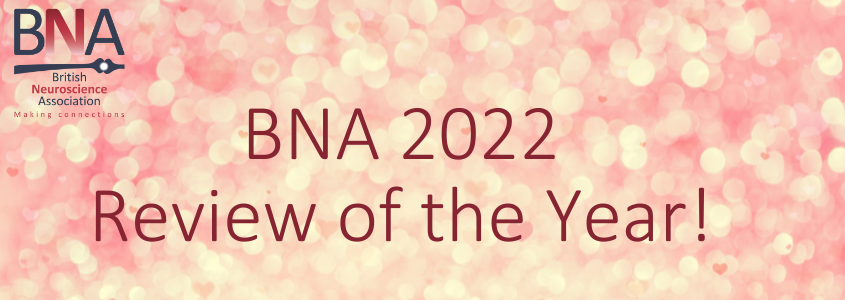 BNA Review of the Year 2022