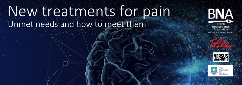 New treatments in pain: Unmet needs and how to meet them