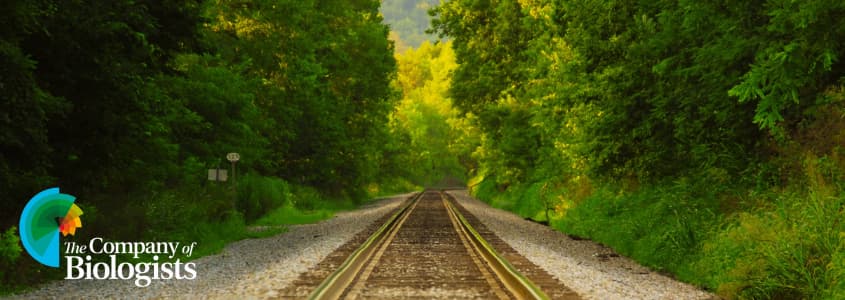 Tree-lined train track with Company of Biologists logo