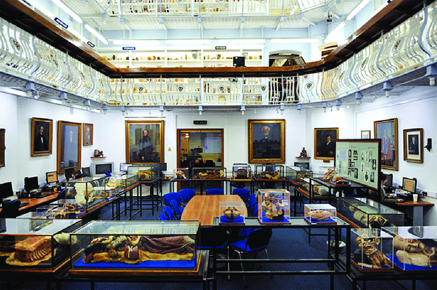 Gordon Museum of Pathology