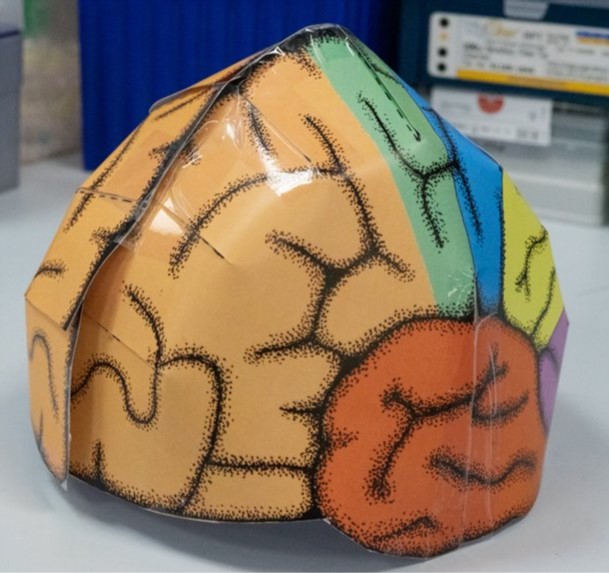 image of brain hat 