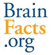 Brain Facts.org