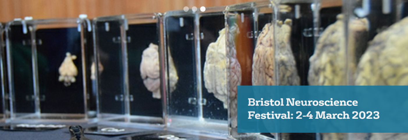 Bristol Neuroscience Festival 2-4 March