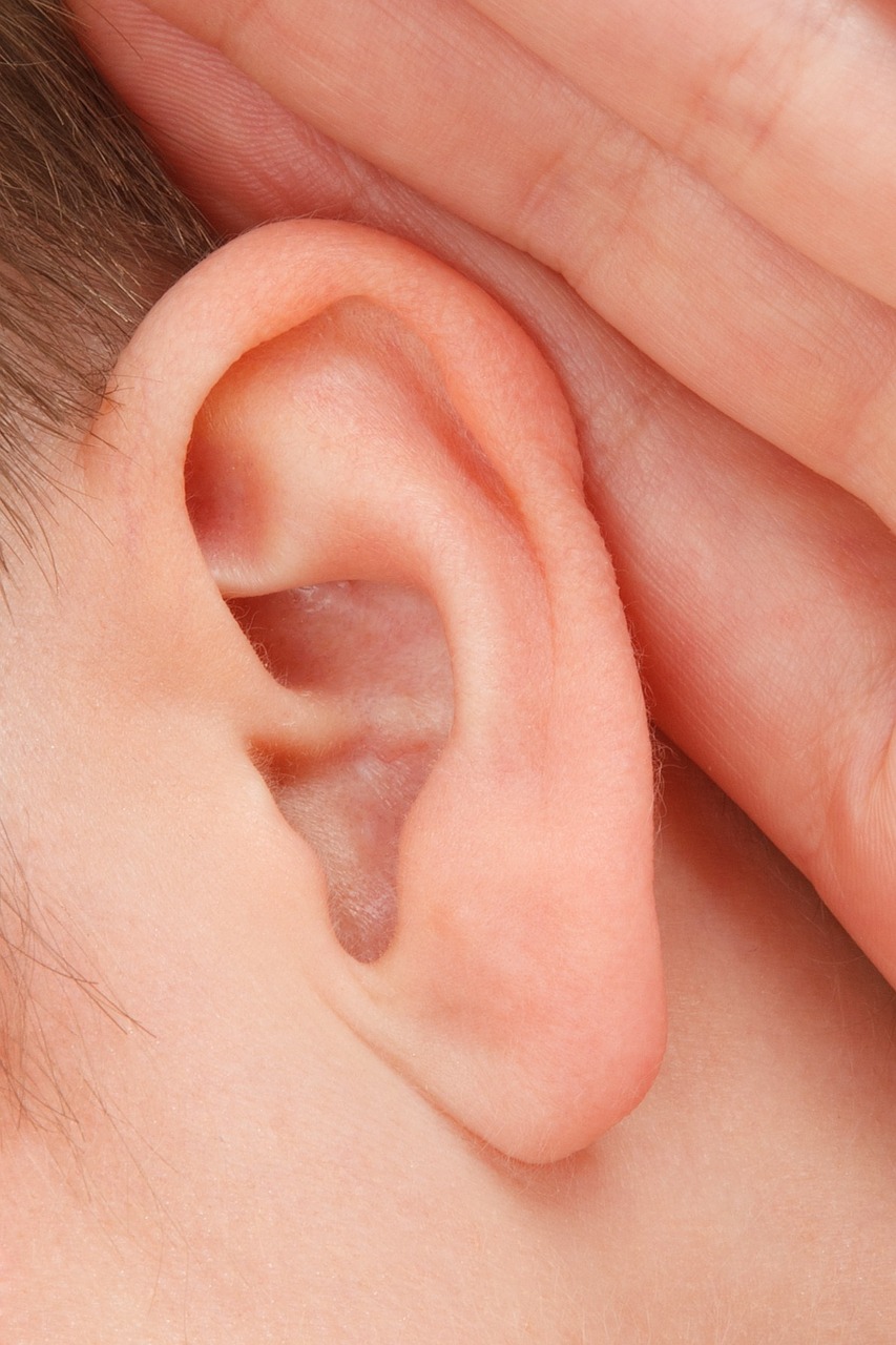 Ear