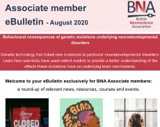 eBulletin