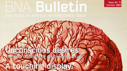 Bulletin 71.png