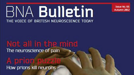 Bulletin 66.png