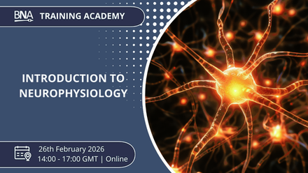 Intro to Neurophysiology.png 1