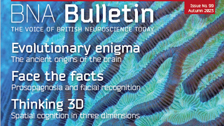 Bulletin 99.png