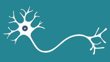 Neuron.png