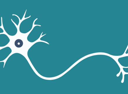 Neuron.png