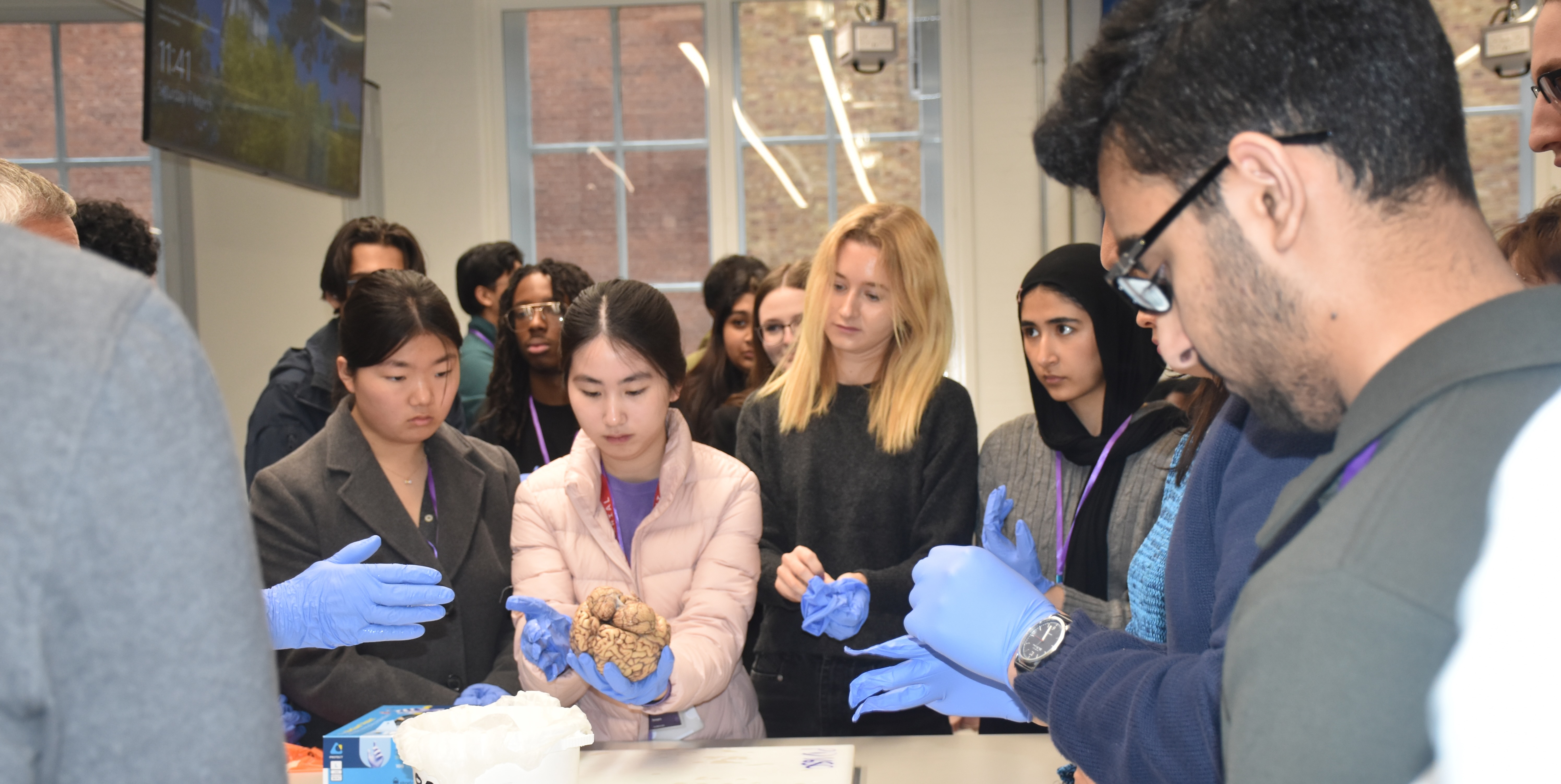 LG event – Meeting of the Minds brain dissection workshop