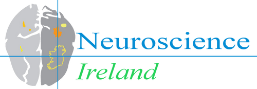 NSI_logo