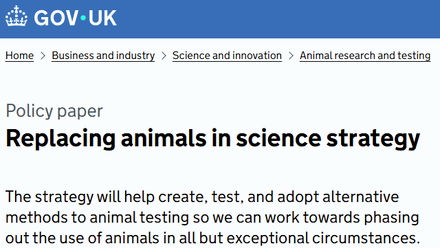 Gov animal testing policy paper.png