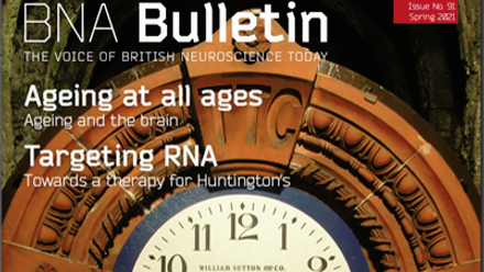Bulletin 91.png