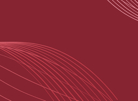 Webinar plain banner background RED.png