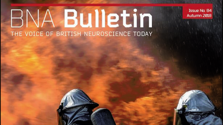 Bulletin 84.png
