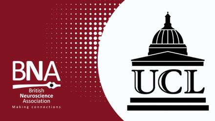 Credibility across sectors.png