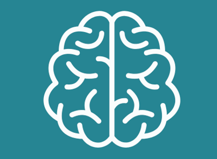 Education Brain anatomy.png