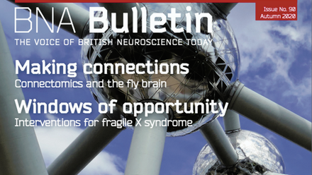 Bulletin 90.png