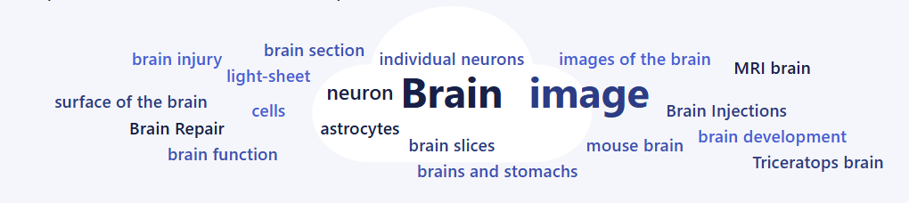 Submissions included these terms.png