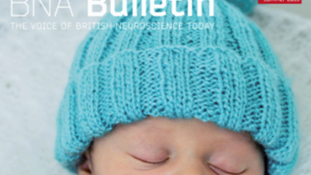 Bulletin 86.png