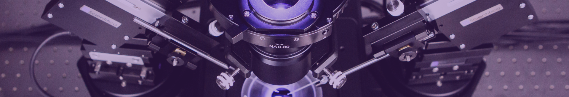 An image of a microscope