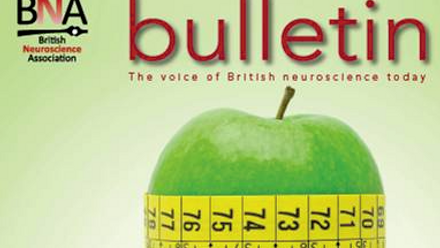 Bulletin 65.png