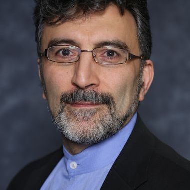 Professor Amin  Rostami-Hodjegan