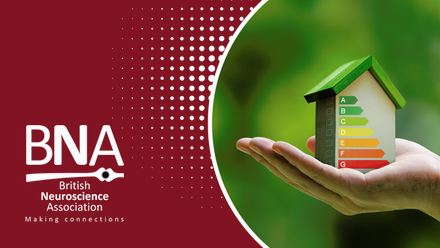 Carbon Accounting.png