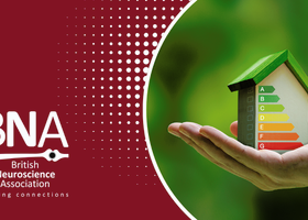 Carbon Accounting.png