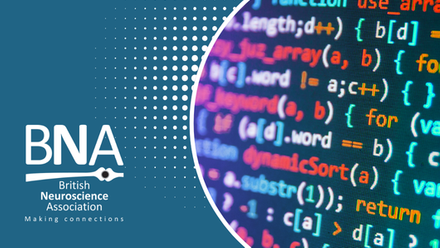 Coding.png