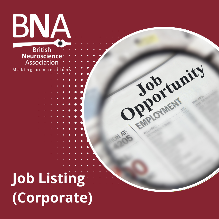 corporate job advert 850.png