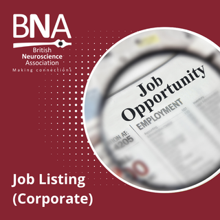 corporate job advert 850.png