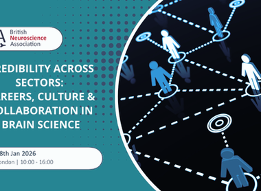 Credibility across sectors.png