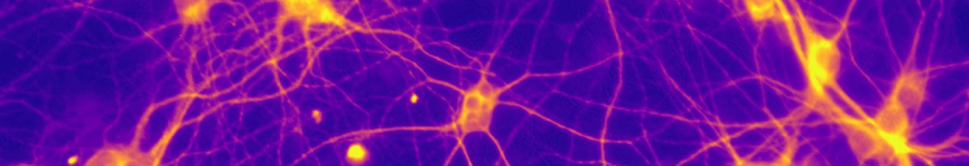 Image by BNA Member Aparna Maruvada.png