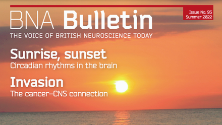 Bulletin 95.png