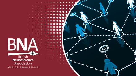 Credibility across sectors.png