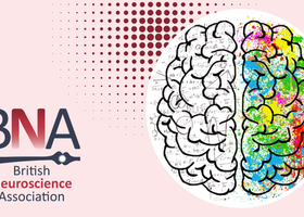 Neuroscience Teaching (1).png