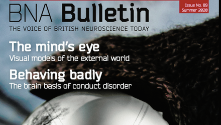 Bulletin 89.png