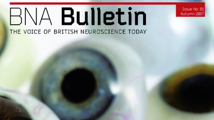 Bulletin 81.png