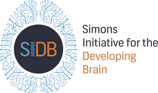 SIDB logo-hover.c1808c0bb7c930a0f7f4.png